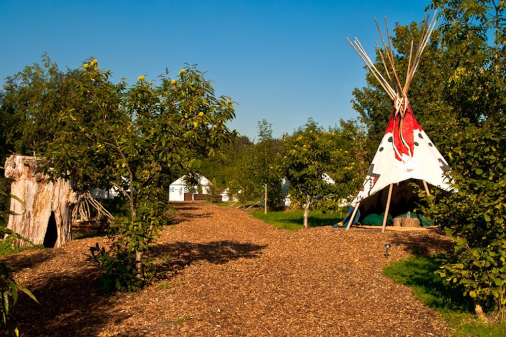 Plush Tents Yurt Village Chichester Zewnętrze zdjęcie