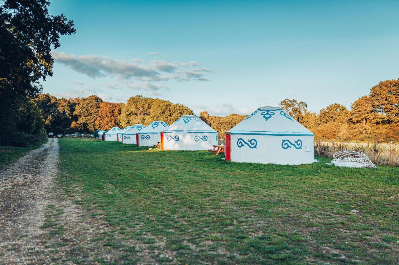 Plush Tents Yurt Village Chichester Zewnętrze zdjęcie